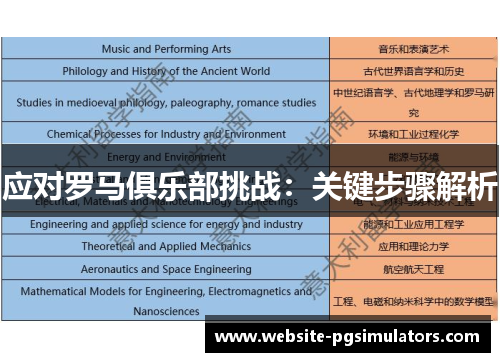 应对罗马俱乐部挑战：关键步骤解析