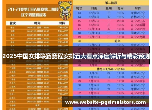 2025中国女排联赛赛程安排五大看点深度解析与精彩预测