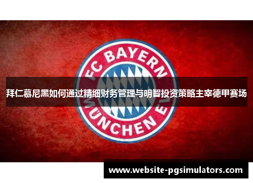 拜仁慕尼黑如何通过精细财务管理与明智投资策略主宰德甲赛场