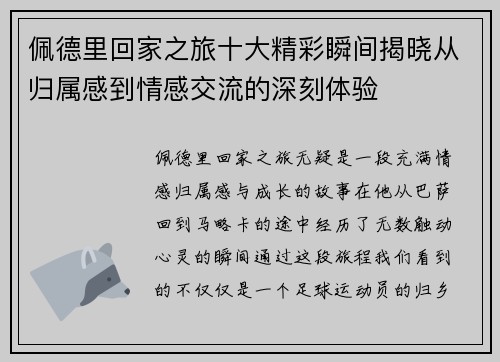 佩德里回家之旅十大精彩瞬间揭晓从归属感到情感交流的深刻体验