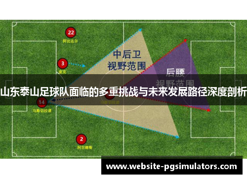 山东泰山足球队面临的多重挑战与未来发展路径深度剖析