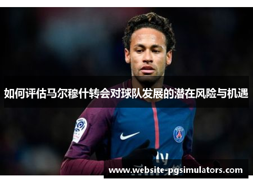 如何评估马尔穆什转会对球队发展的潜在风险与机遇