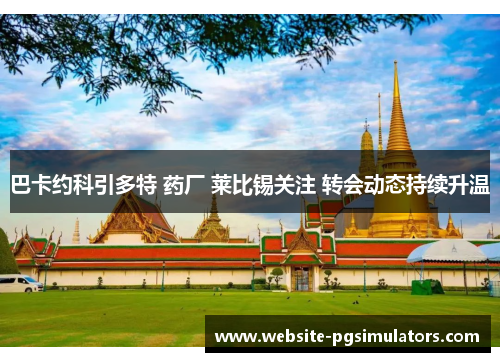 巴卡约科引多特 药厂 莱比锡关注 转会动态持续升温