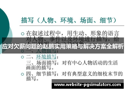 应对欠薪问题的赵鹏实用策略与解决方案全解析