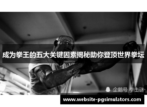 成为拳王的五大关键因素揭秘助你登顶世界拳坛