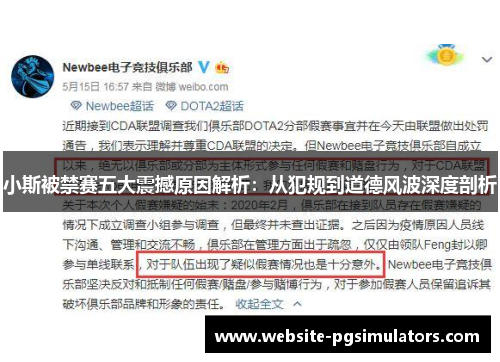 小斯被禁赛五大震撼原因解析：从犯规到道德风波深度剖析