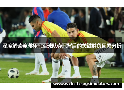 深度解读美洲杯冠军球队夺冠背后的关键胜负因素分析