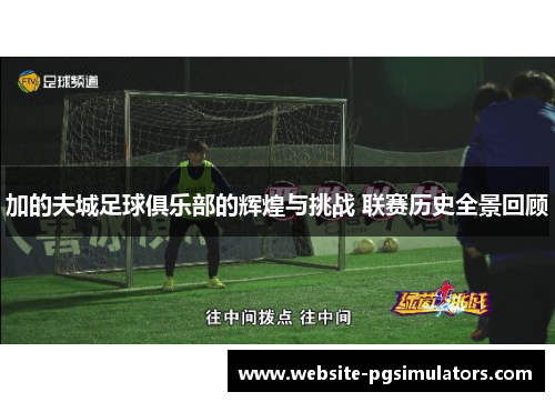 加的夫城足球俱乐部的辉煌与挑战 联赛历史全景回顾