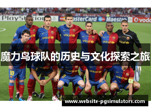 魔力鸟球队的历史与文化探索之旅